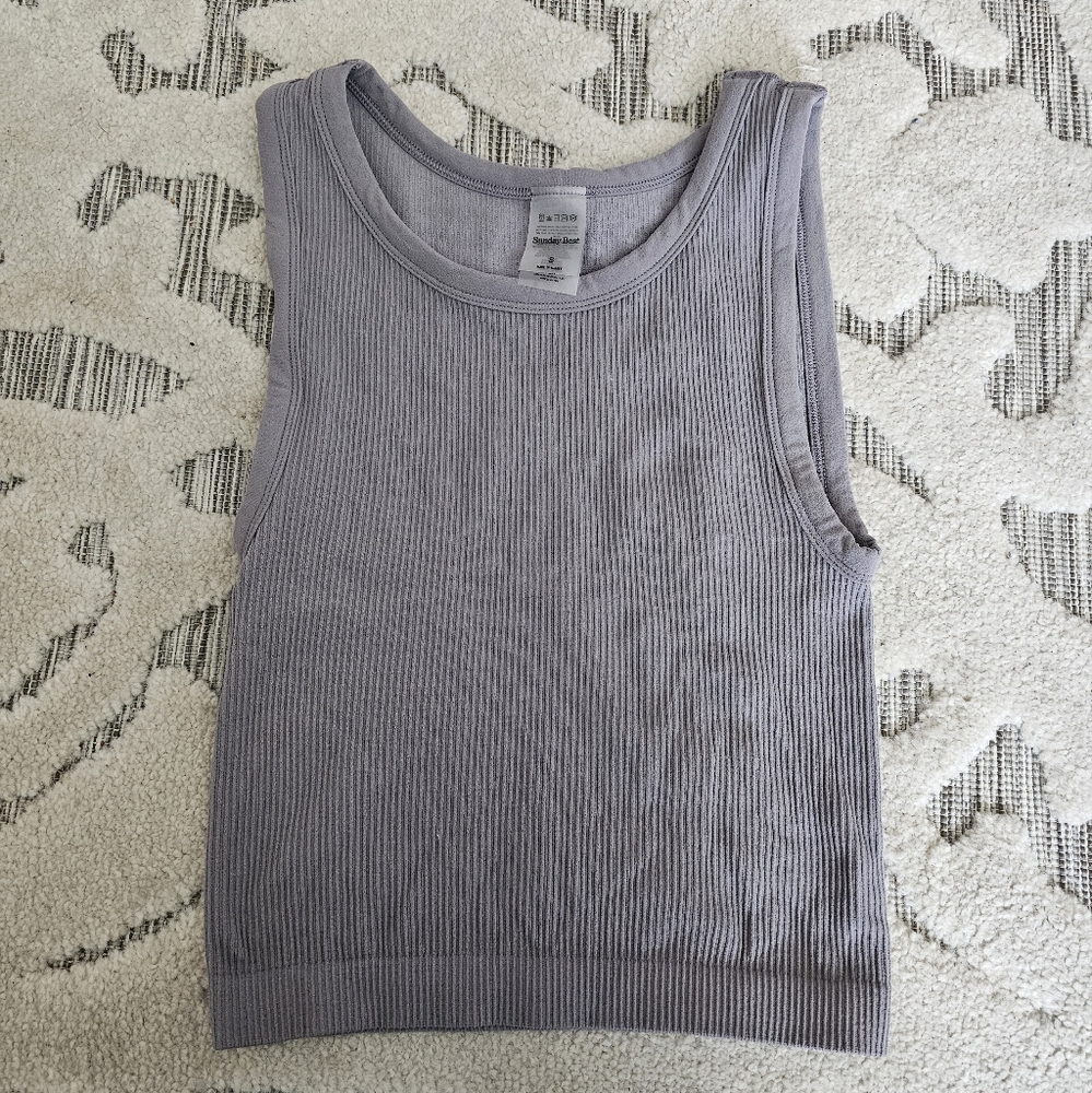 Aritzia Sunday best crop tank top